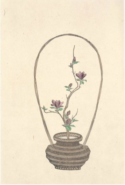 Икебана карандашом