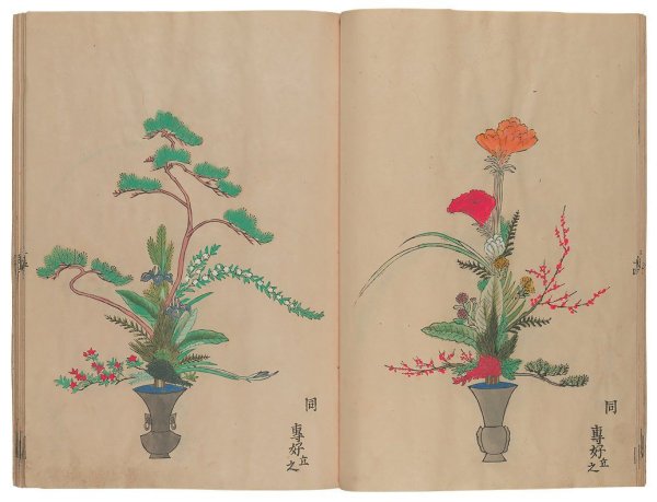 Композиция из цветов карандашом