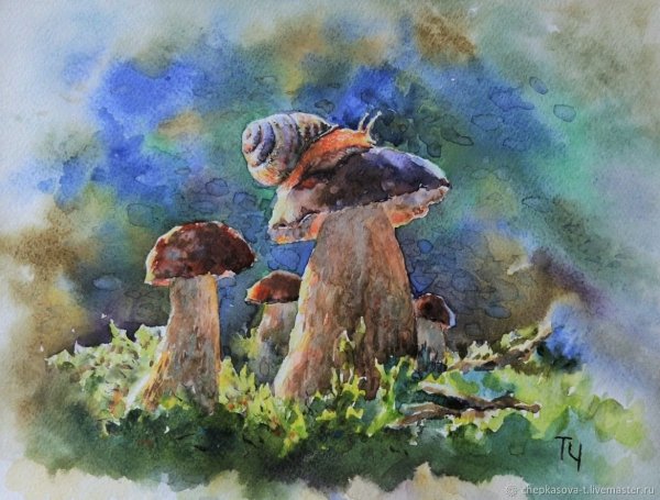 Мухомор акварелью
