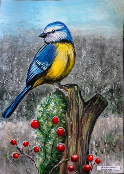 Синичка красками