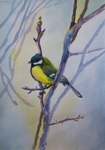 Синички на ветке краской