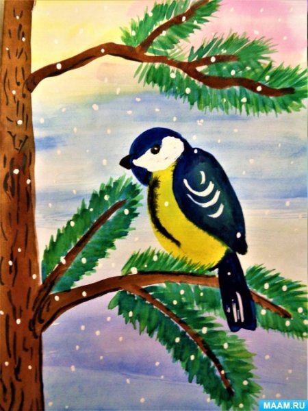 Рисование синичка на ветке старшая группа