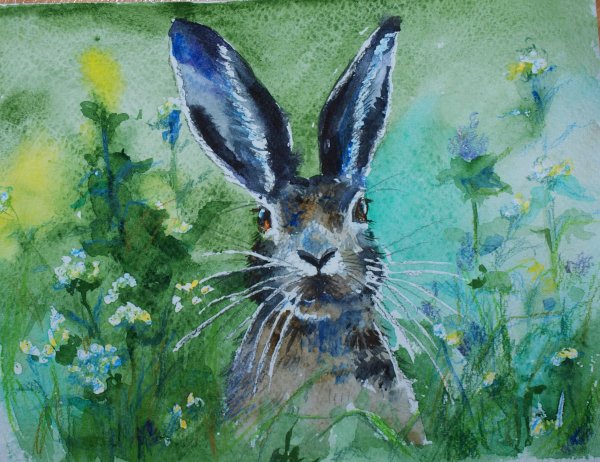 Заяц красками