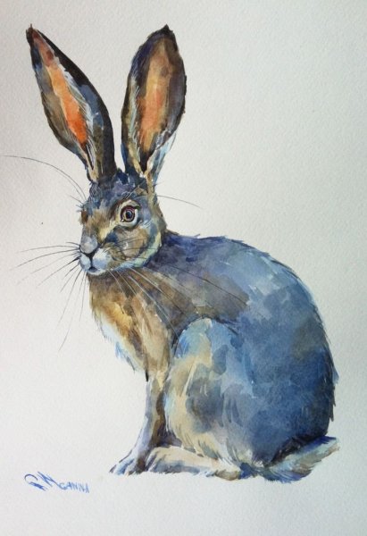 Кролик гуашью