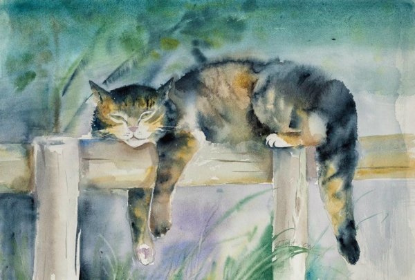 Кошка на заборе живопись