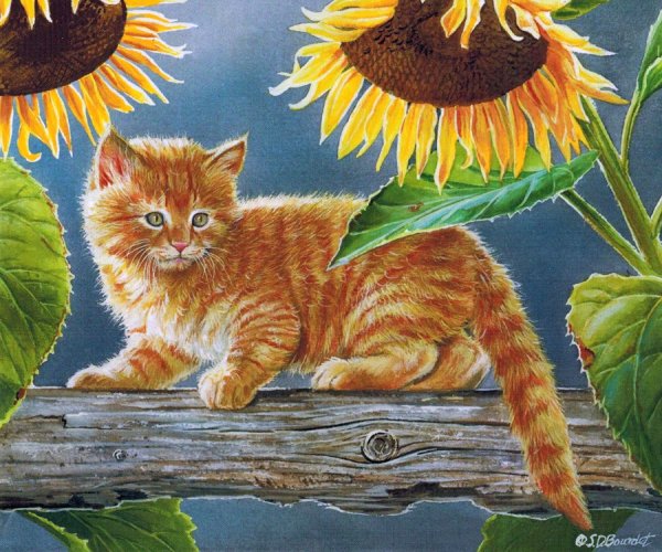 Картина кот на заборе