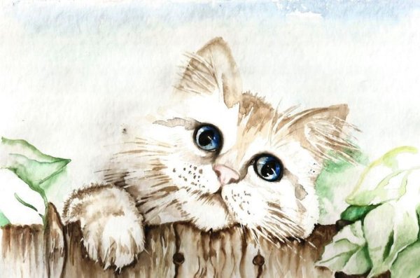 Художник Наталья Макушева рыжий кот