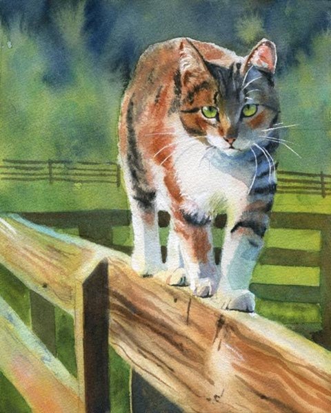 Рисунки по номерам