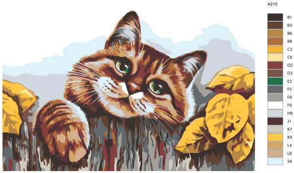 Котик на заборе