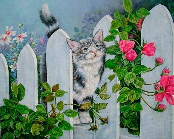 Черные коты на фоне заката