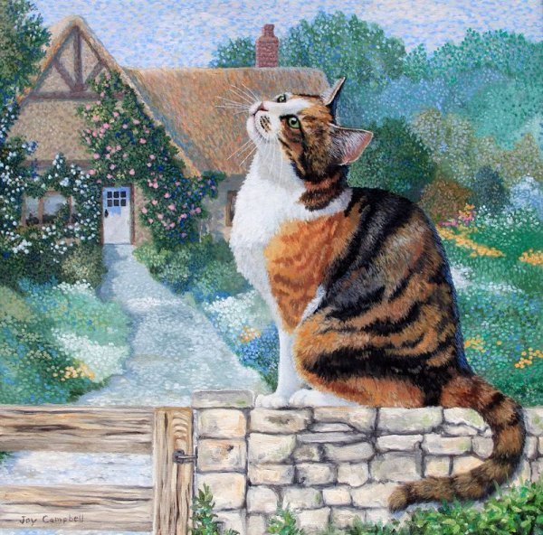 Осенний пейзаж с котом