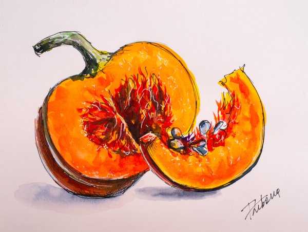 Ломтик тыквы акварелью