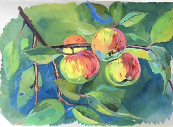 Яблоня гуашью