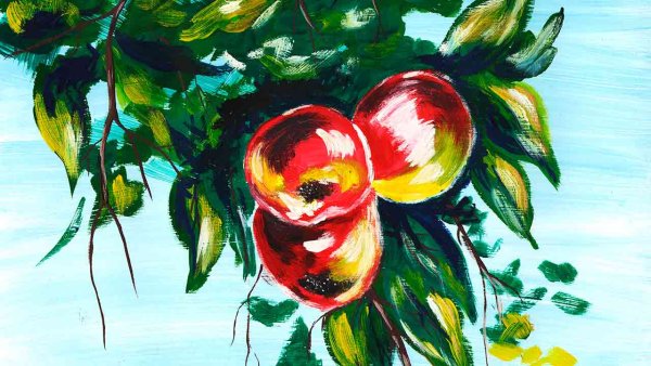 Ветка с яблоками гуашью Этюд