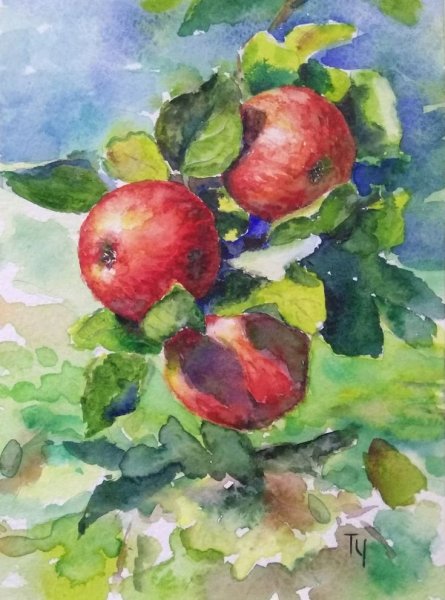 Яблоко гуашью
