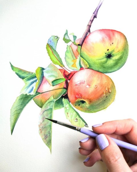 Фрукты акварельными карандашами