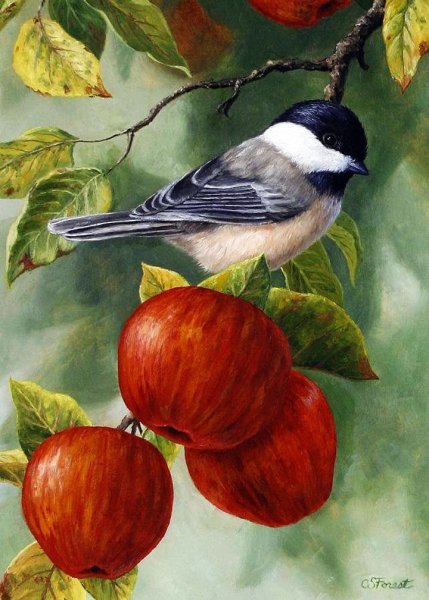 Американская художница Crista Forest картины