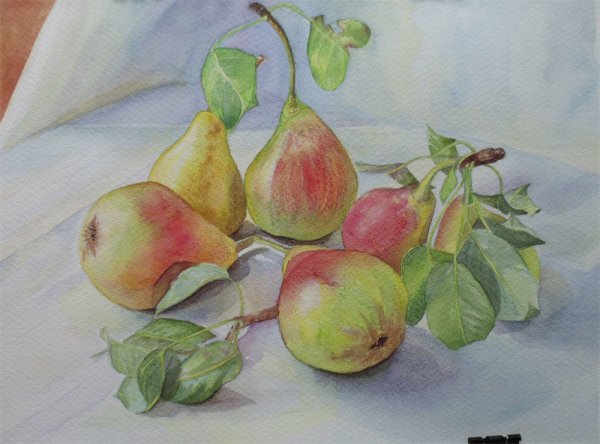 Фрукты акварельными карандашами