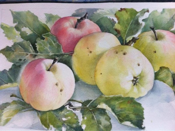 Хазова Татьяна художник акварель