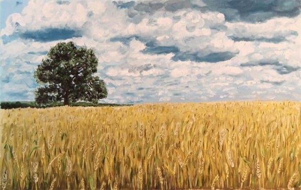 А.Атабаев пшеничное поле