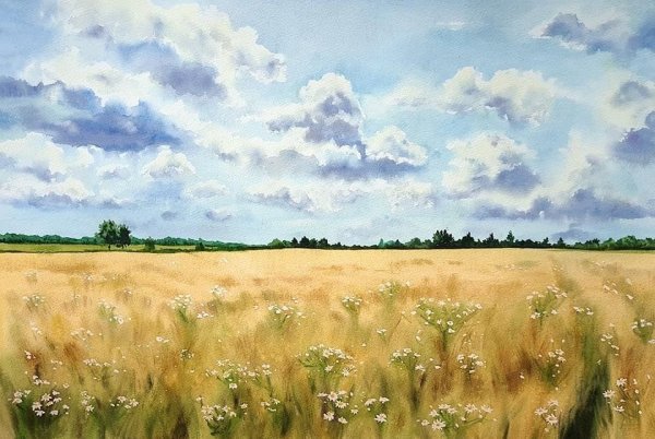 Поле акварелью