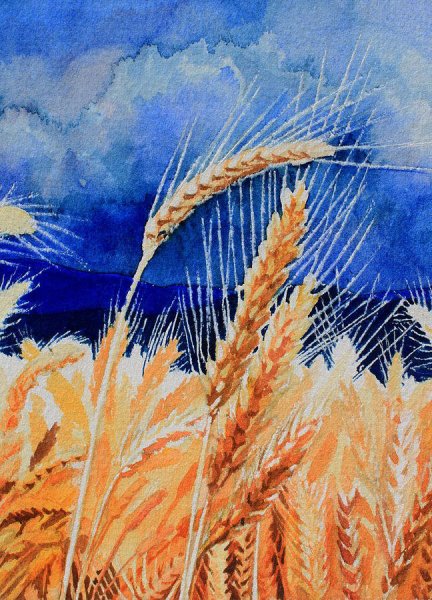 Куинджи поле пшеницы