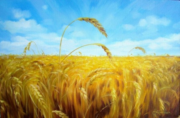 Пшеничное поле акварелью