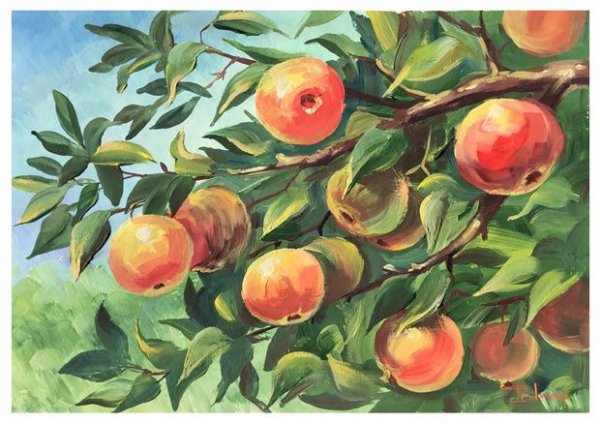 Яблоня гуашью