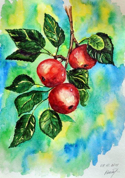 Ветка яблони с яблоками