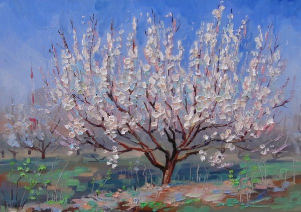 "Сад с цветущими абрикосами" 1888г.