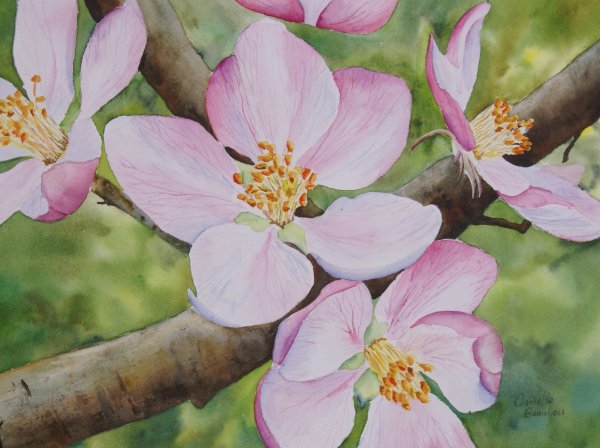 Цветущая яблоня Хайтан