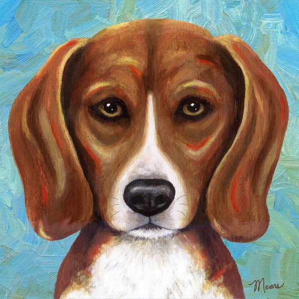 Бигль гуашью