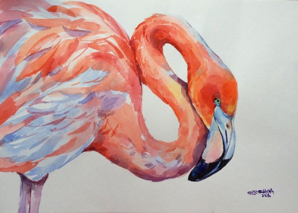 Фламинго гуашью