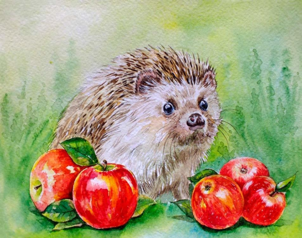Ежик акварель