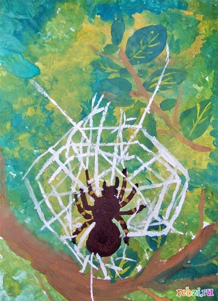 Паутина красками