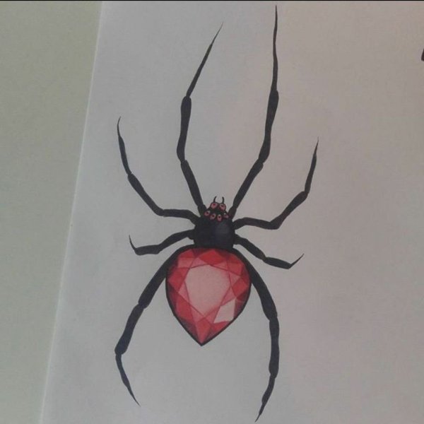 Паук для срисовки