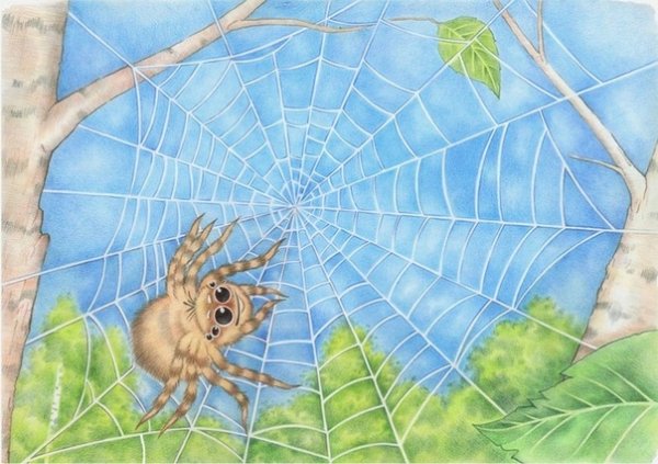 Сказочный паучок