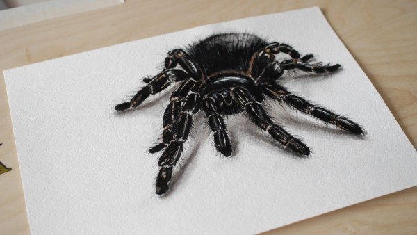 Паук Тарантул 3д ручкой