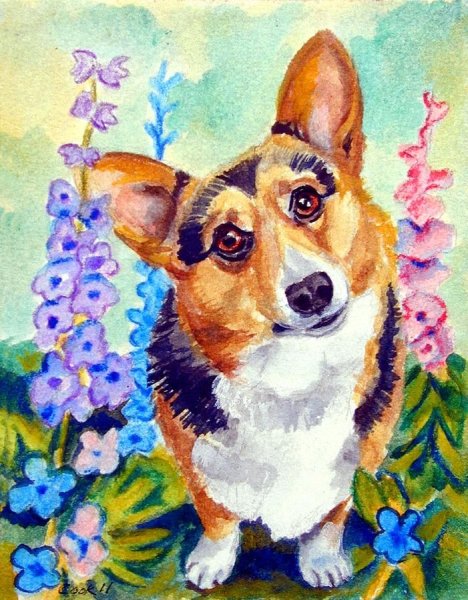 Алмазная мозаика. Корги вельш