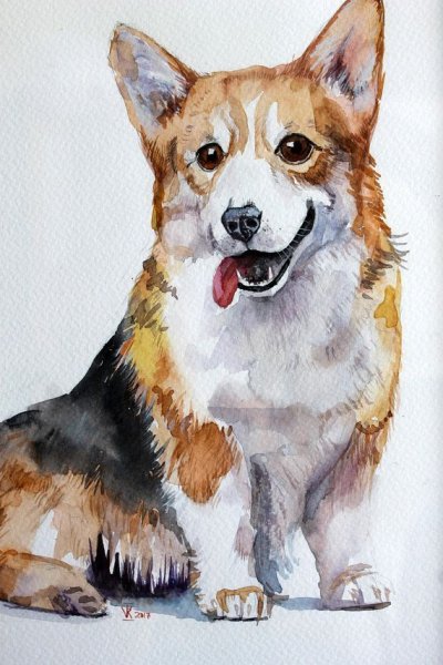 Корги акварелью