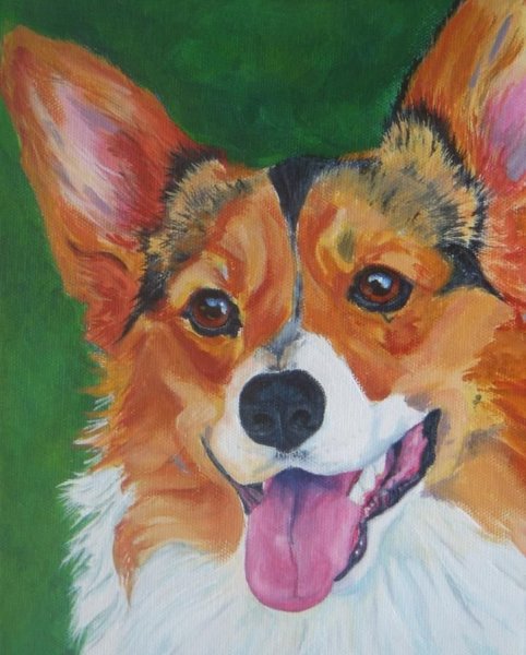 Собака корги акварелью