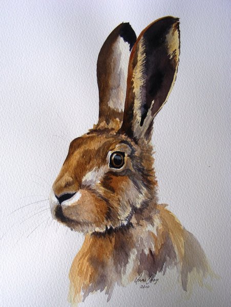 Заяц маслом