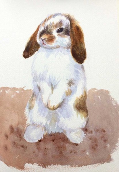 Кролик акварель