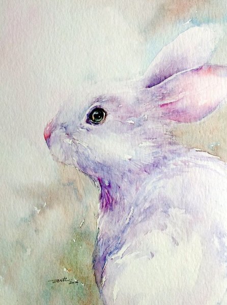 Кролик гуашью