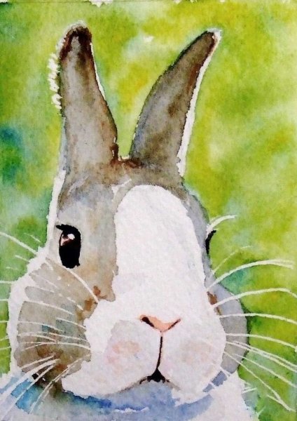 Животные акварелью