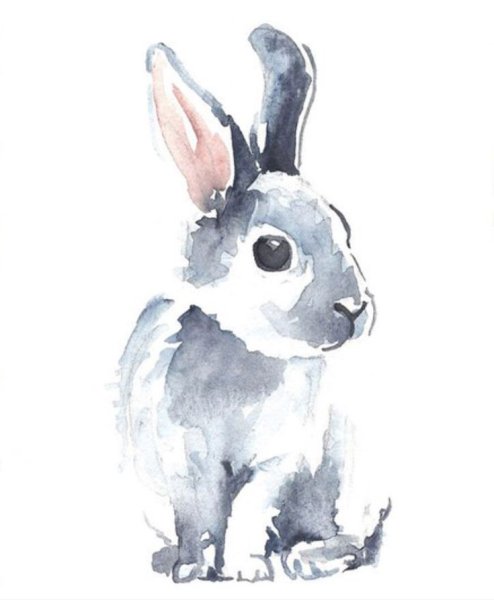 Кролик гуашью