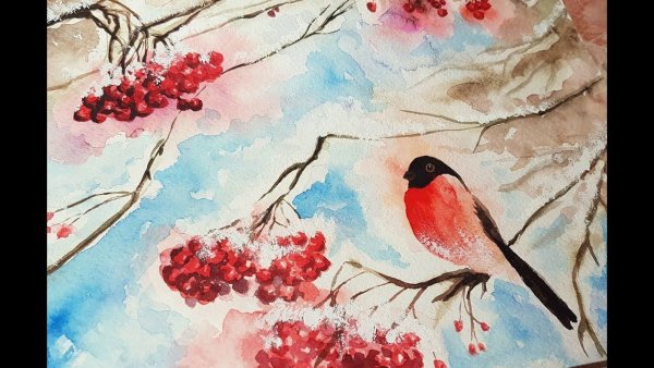 Рябина зимой акварель