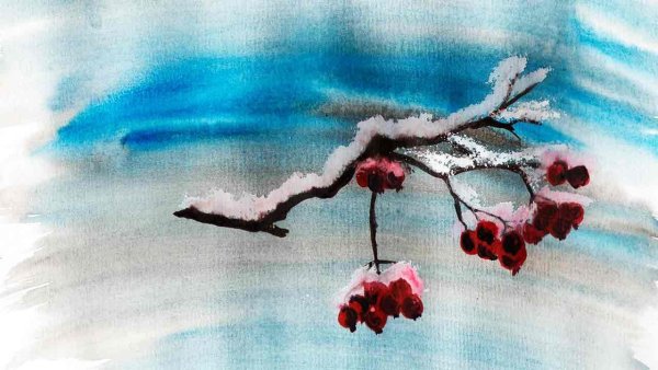 Зимняя рябина акварель