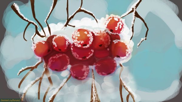 Зимняя рябина рисование