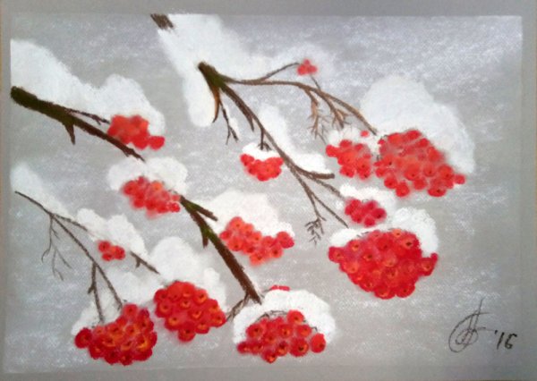 Ветка рябины зимой